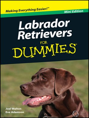 cover image of Labrador Retrievers For Dummies